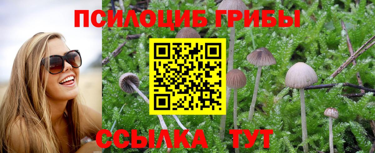 Галлюциногенные грибы Cubensis Бахчисарай